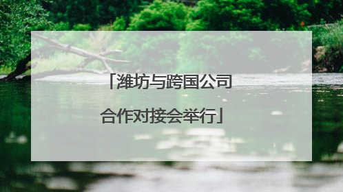 潍坊与跨国公司合作对接会举行