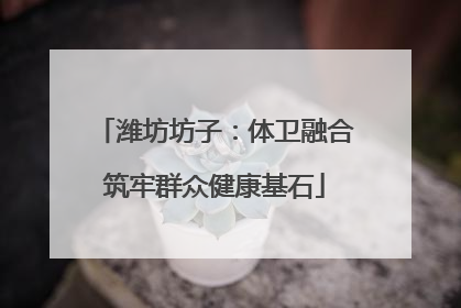 潍坊坊子：体卫融合筑牢群众健康基石