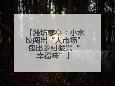 潍坊寒亭：小水饺闯出“大市场” 包出乡村振兴“幸福味”