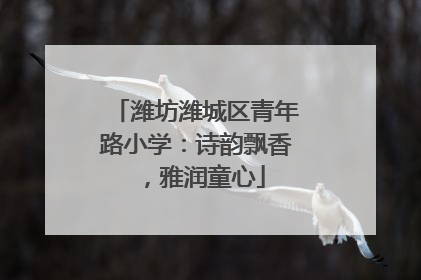 潍坊潍城区青年路小学：诗韵飘香，雅润童心
