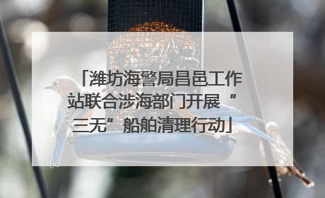 潍坊海警局昌邑工作站联合涉海部门开展“三无”船舶清理行动