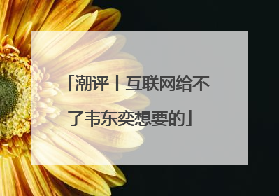 潮评丨互联网给不了韦东奕想要的