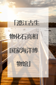 澄江古生物化石亮相国家海洋博物馆