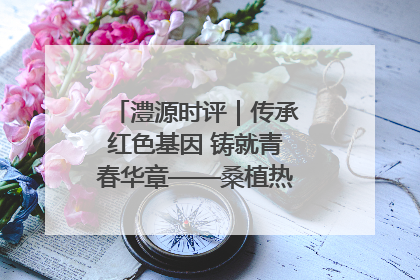 澧源时评｜传承红色基因 铸就青春华章——桑植热土上的青春长征