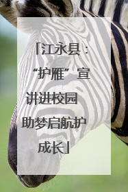 江永县：“护雁”宣讲进校园 助梦启航护成长