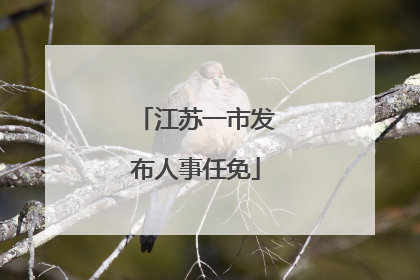 江苏一市发布人事任免