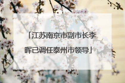 江苏南京市副市长李晖已调任泰州市领导