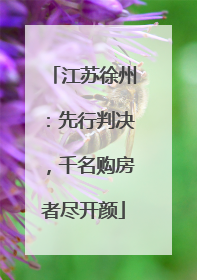 江苏徐州：先行判决，千名购房者尽开颜