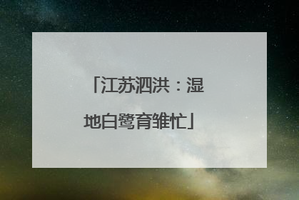 江苏泗洪：湿地白鹭育雏忙
