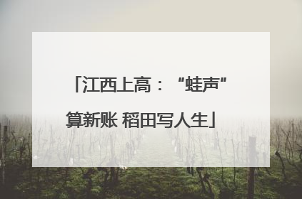 江西上高：“蛙声”算新账 稻田写人生
