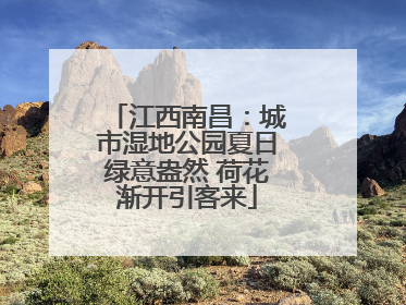 江西南昌：城市湿地公园夏日绿意盎然 荷花渐开引客来