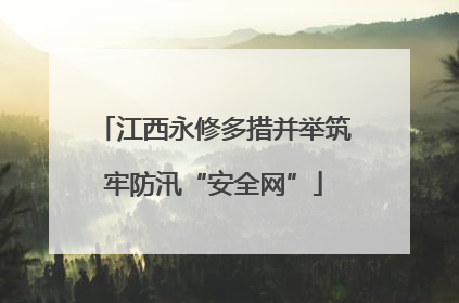 江西永修多措并举筑牢防汛“安全网”