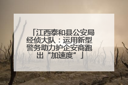 江西泰和县公安局经侦大队：运用新型警务助力护企安商跑出“加速度”