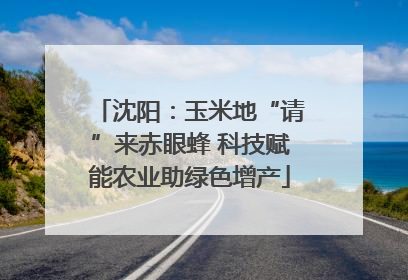 沈阳：玉米地“请”来赤眼蜂 科技赋能农业助绿色增产