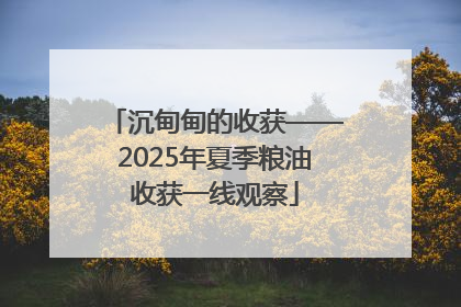 沉甸甸的收获——2025年夏季粮油收获一线观察