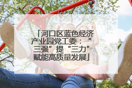 河口区蓝色经济产业园党工委：“三强”提“三力”赋能高质量发展