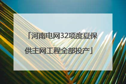 河南电网32项度夏保供主网工程全部投产