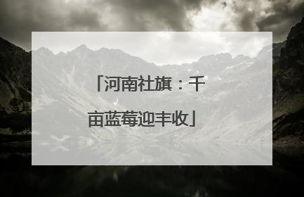 河南社旗：千亩蓝莓迎丰收