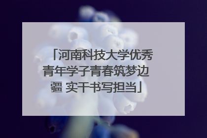 河南科技大学优秀青年学子青春筑梦边疆 实干书写担当
