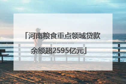 河南粮食重点领域贷款余额超2595亿元