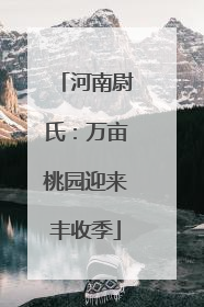 河南尉氏：万亩桃园迎来丰收季