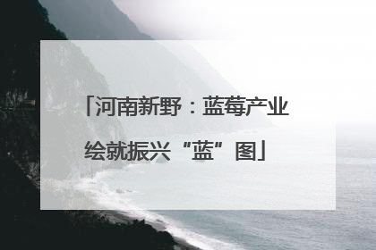河南新野：蓝莓产业绘就振兴“蓝”图