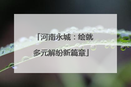 河南永城：绘就多元解纷新篇章