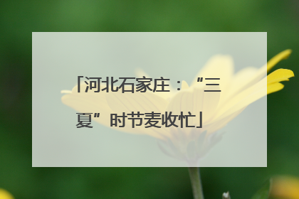 河北石家庄：“三夏”时节麦收忙