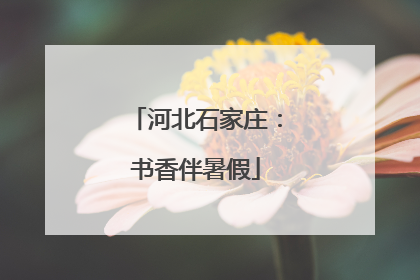 河北石家庄：书香伴暑假