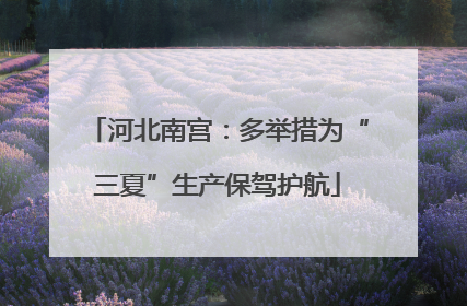 河北南宫：多举措为“三夏”生产保驾护航