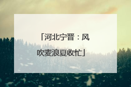 河北宁晋：风吹麦浪夏收忙