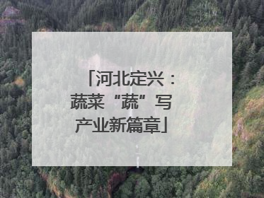 河北定兴：蔬菜“蔬”写产业新篇章