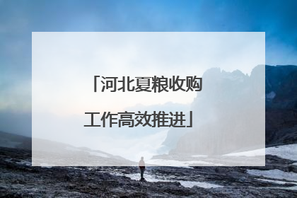 河北夏粮收购工作高效推进