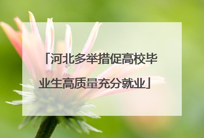 河北多举措促高校毕业生高质量充分就业
