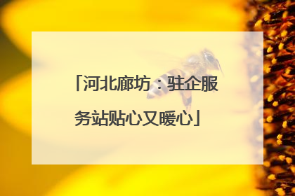 河北廊坊：驻企服务站贴心又暖心