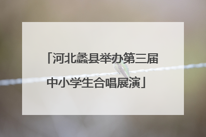 河北蠡县举办第三届中小学生合唱展演