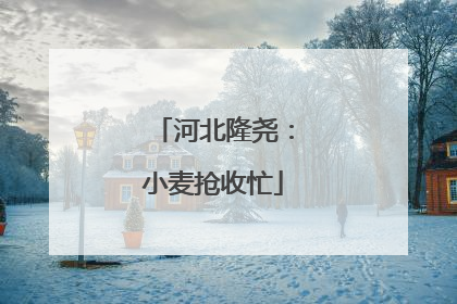 河北隆尧：小麦抢收忙