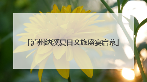 泸州纳溪夏日文旅盛宴启幕