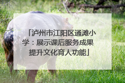 泸州市江阳区通滩小学：展示课后服务成果 提升文化育人功能