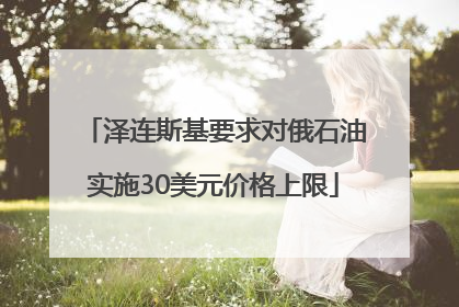 泽连斯基要求对俄石油实施30美元价格上限