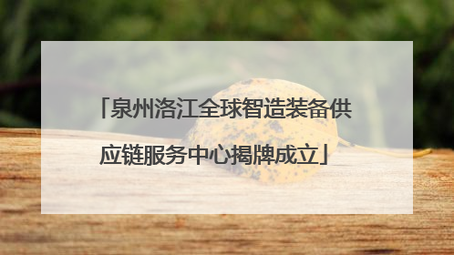 泉州洛江全球智造装备供应链服务中心揭牌成立