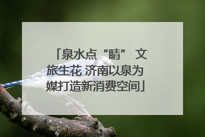 泉水点“睛” 文旅生花 济南以泉为媒打造新消费空间