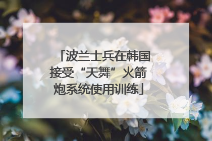 波兰士兵在韩国接受“天舞”火箭炮系统使用训练