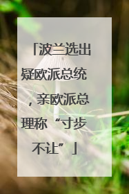 波兰选出疑欧派总统，亲欧派总理称“寸步不让”