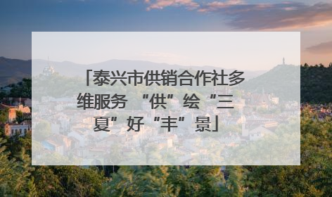 泰兴市供销合作社多维服务 “供”绘“三夏”好“丰”景