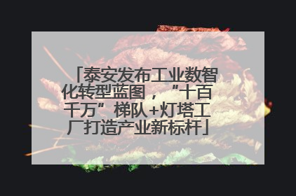 泰安发布工业数智化转型蓝图，“十百千万”梯队+灯塔工厂打造产业新标杆