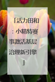 活力田和：小精特赛事激活基层治理新引擎