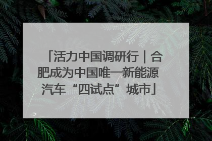 活力中国调研行｜合肥成为中国唯一新能源汽车“四试点”城市