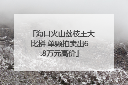 海口火山荔枝王大比拼 单颗拍卖出6.8万元高价