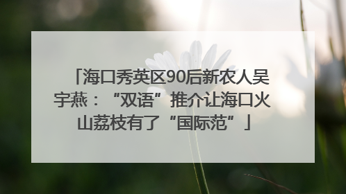 海口秀英区90后新农人吴宇燕：“双语”推介让海口火山荔枝有了“国际范”